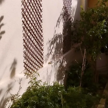 Casa Do Jasmim ホームステイ リスボン